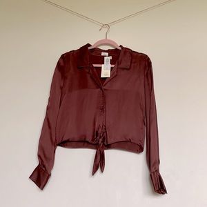 Aritzia Wilfred Peaufiner Blouse